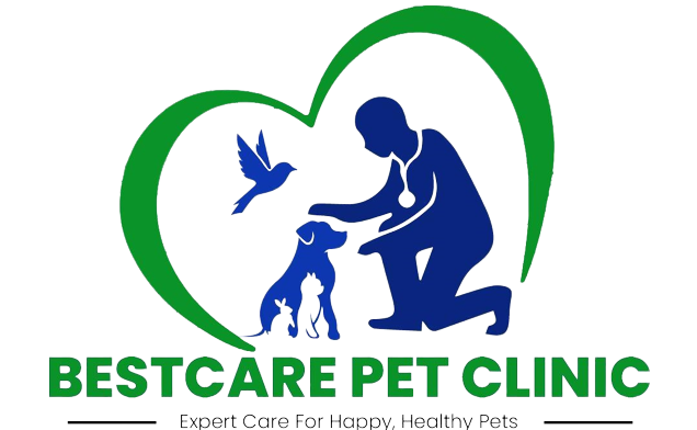 Expert Care For Happy Healthy Pets